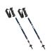 leki eagle trekking poles